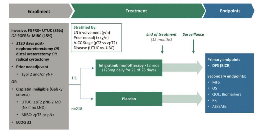 montypal's tweet photo. Bravo. An excellent discussion (after a rocky start 😁) by @OncoBellmunt on the adjuvant landscape. Agree w both he &amp; @tompowles1 - we need to tease out those pts who truly benefit. Genomic selection (as in #PROOF302) &amp; ctDNA (IMvigor011) one way fwd. https://t.co/ntiPyTl5me
