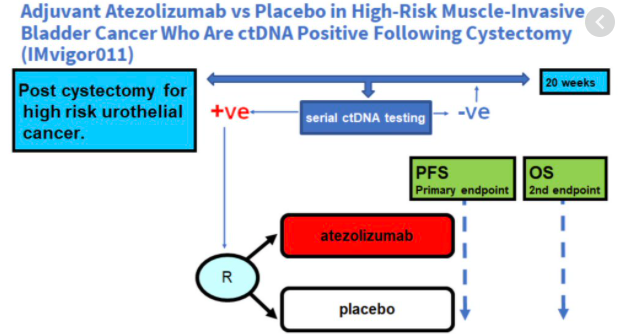 montypal's tweet photo. Bravo. An excellent discussion (after a rocky start 😁) by @OncoBellmunt on the adjuvant landscape. Agree w both he &amp; @tompowles1 - we need to tease out those pts who truly benefit. Genomic selection (as in #PROOF302) &amp; ctDNA (IMvigor011) one way fwd. https://t.co/ntiPyTl5me