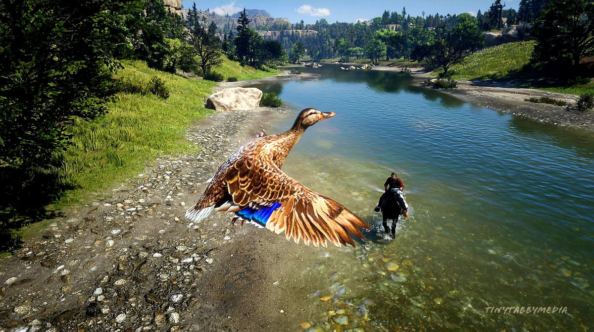 JonzKansz's tweet photo. ...I sense fowl play...RDR2. 🖤🤠🖤
#reddeadphotography #outlawsforlife #RockstarGames #photoexpress #lightroom #tinytabbymedia #virtualphotography #reddeadredemption2 #StoryMode https://t.co/kIjodlRwME