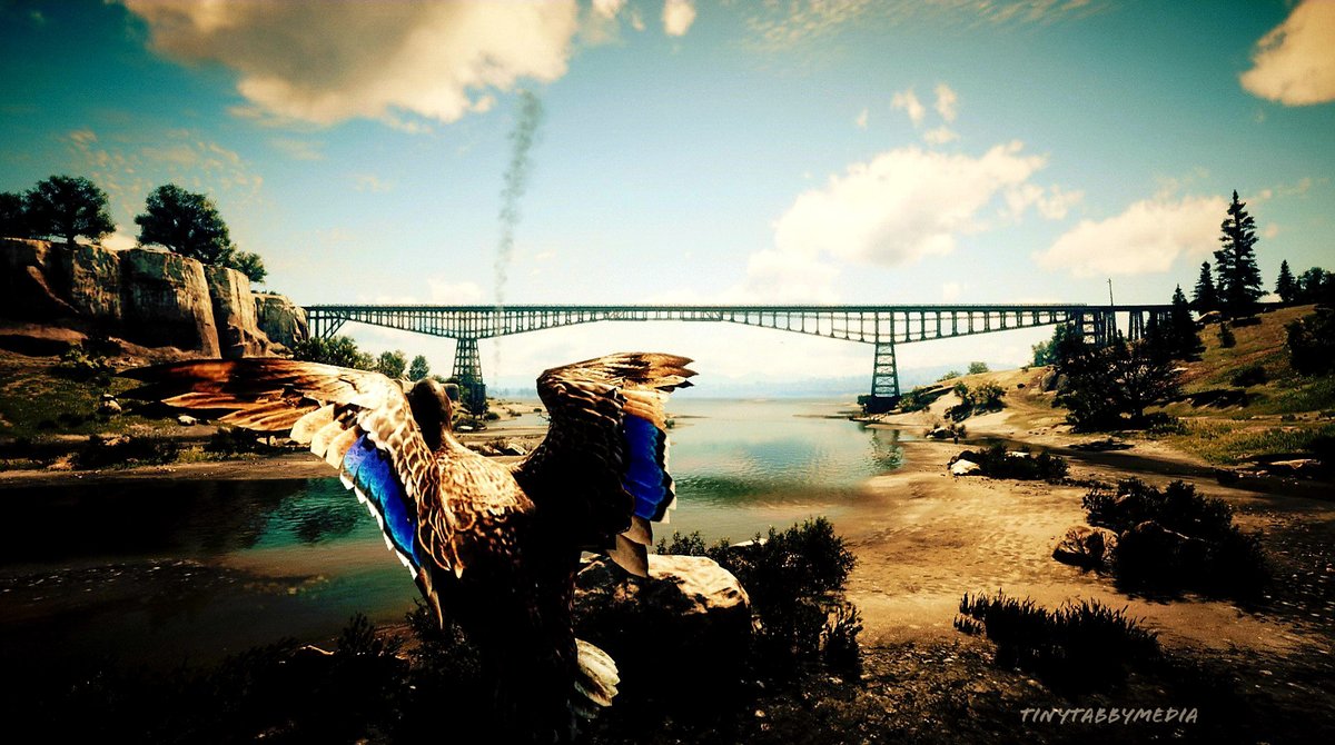 JonzKansz's tweet photo. ...I sense fowl play...RDR2. 🖤🤠🖤
#reddeadphotography #outlawsforlife #RockstarGames #photoexpress #lightroom #tinytabbymedia #virtualphotography #reddeadredemption2 #StoryMode https://t.co/kIjodlRwME