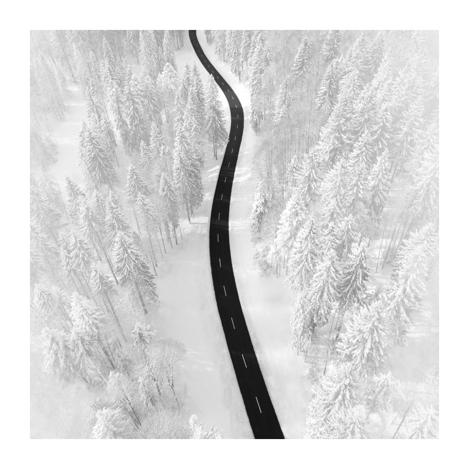 patrickemsphoto's tweet photo. ON MY WAY
#PatrickEmsPhotography #PatrickEms #VisualDecadence #FineArtPhotography #art #photo #photography #photographylovers #blackandwhite #blackandwhitephotography #bnw #monochrom #street #road #way #onmyway #monoart #highkey #highkeyphotography #fineart #snow #winter #white https://t.co/bnTmhwDuaY