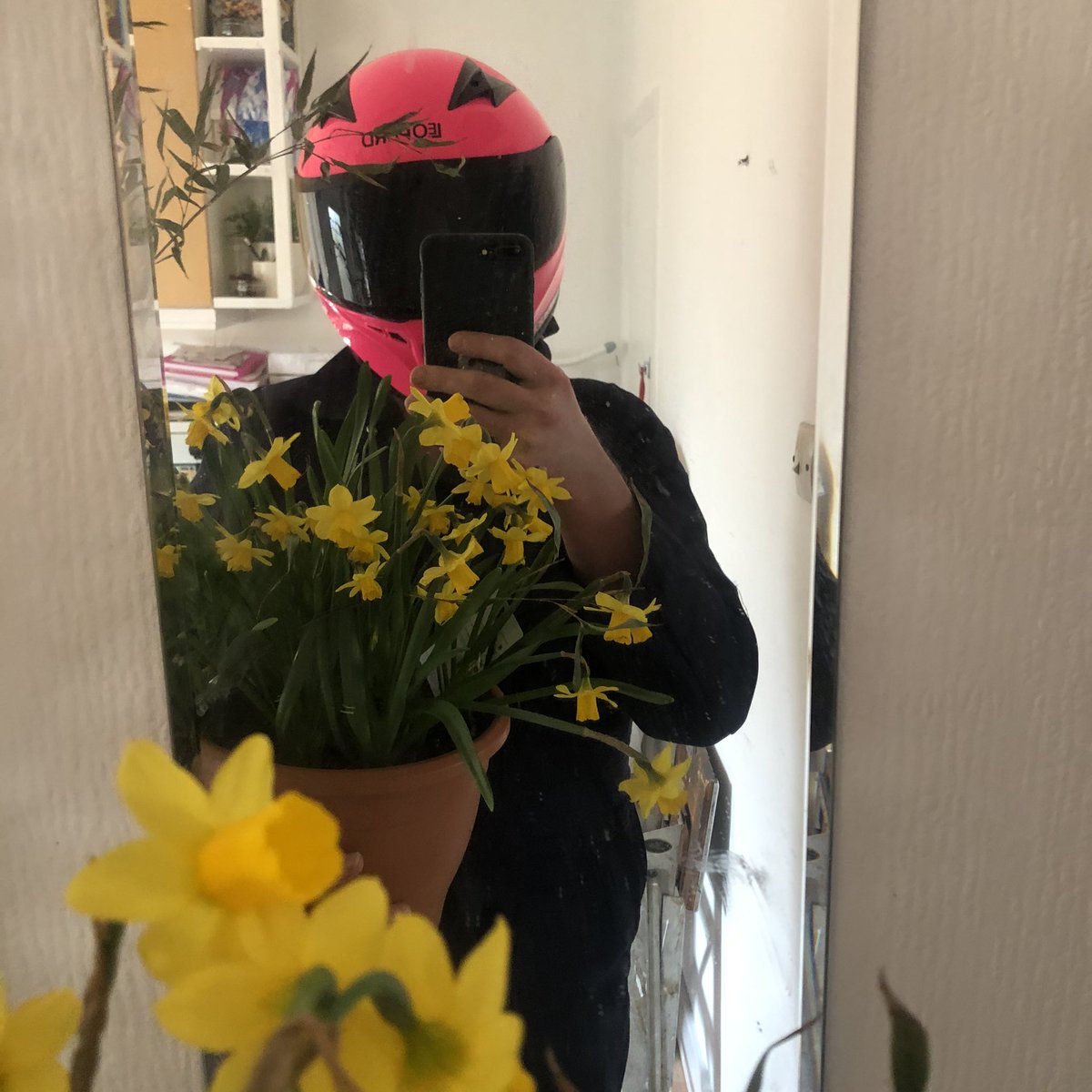 BarryWelshXXX's tweet photo. O fy nhrydariad cyntaf! Wish i mi lwc i chi fuckers budr! 🏴󠁧󠁢󠁷󠁬󠁳󠁿  🍆💦😜🔞 #welshy #pornlife #pinkhelmet https://t.co/cGtGgT1o8k