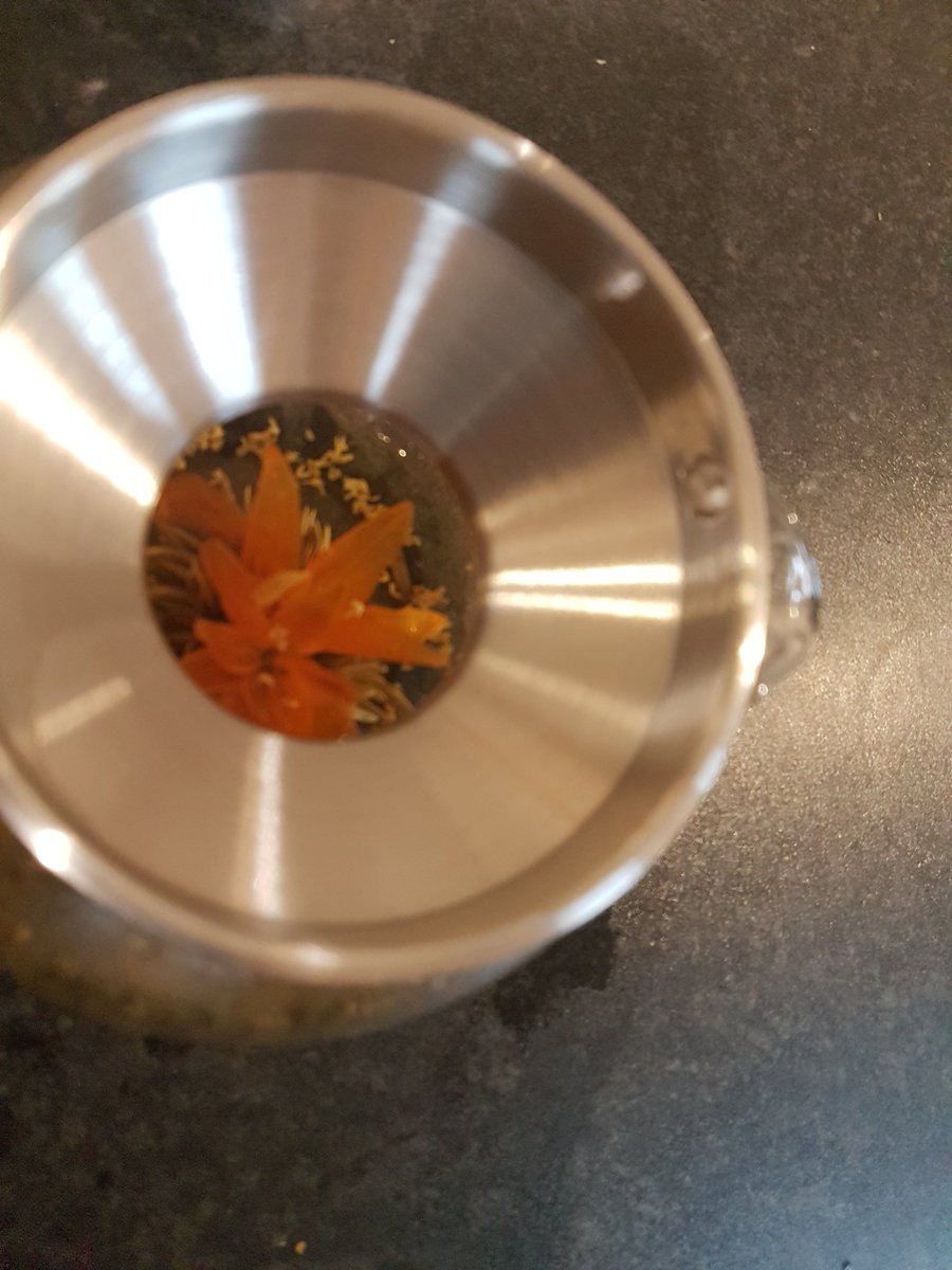 Gill_Briggs's tweet photo. Weird things bring me joy like - Floral, green tea opening in boiling water. #everydaystuff #grateful #allisgrace https://t.co/xsYadFnb2W