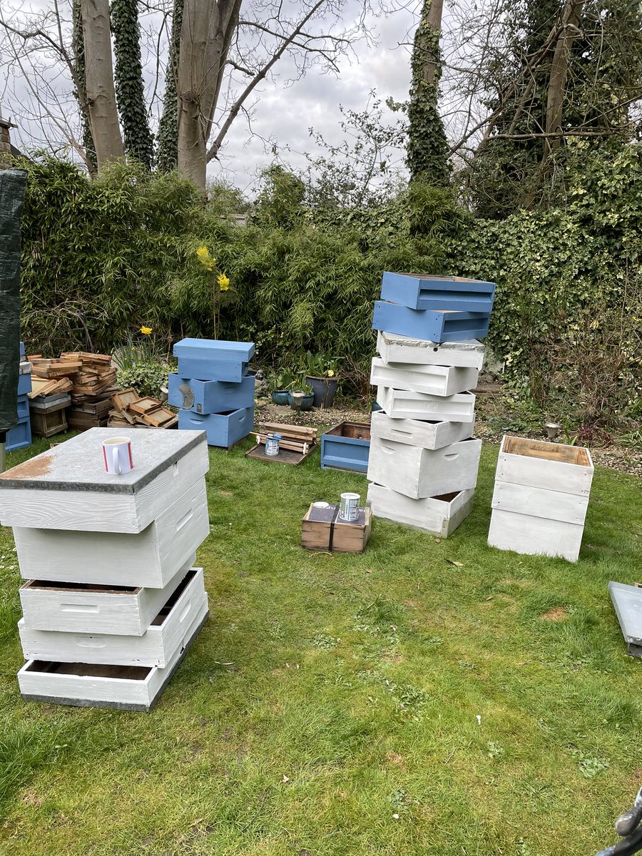 OldBills's tweet photo. That’s a few more brood bodies and supers painted and ready for the swarm season #swarm #honey #bees #beekeeper #national #apiary https://t.co/LFxJPf60wK