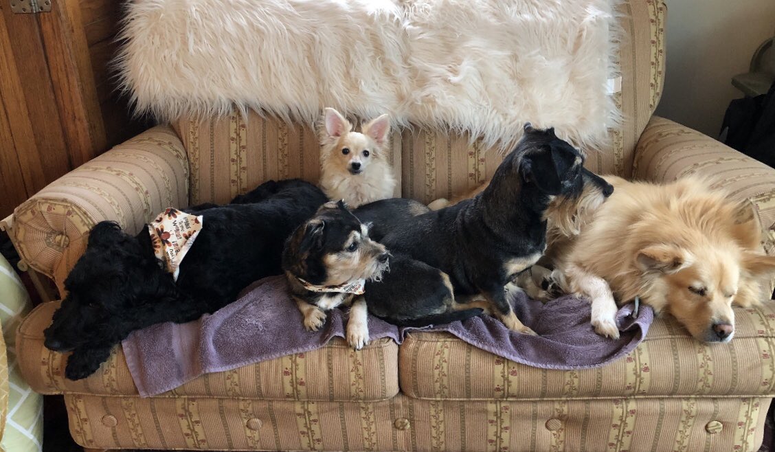 Scanachi's tweet photo. @nickkap38 Never apologize for that! ( :
Here is my #RescuePack https://t.co/NolKiqI50l