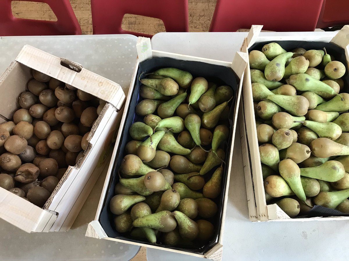 CommFoodHub's tweet image. So much fresh fruit and veg today! Ready to distribute to our service users 🌈