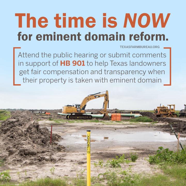 The time for eminent domain reform is NOW. Texas lawmakers need to hear from YOU!

Show support for HB 901, which outlines fairness &amp; transparency landowners deserve.

The bill will be heard on March 30. You can attend in person or submit comments online: txfb.us/eminentdomainc…