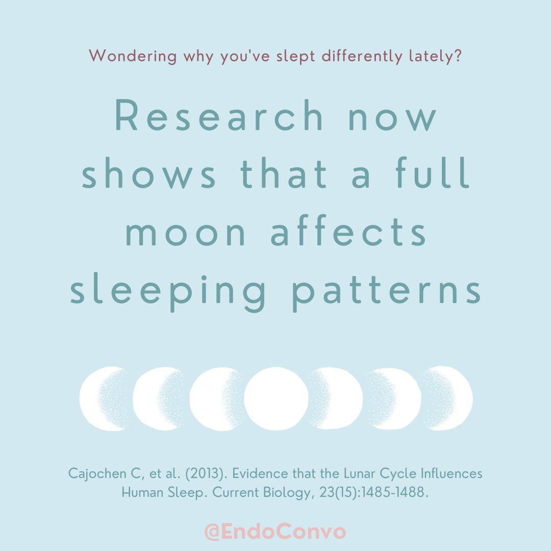 A 2013 study found that lunar phases affect sleep patterns, just as the old wives’ tale has always told!⁠

Head to Instagram.com/endoconvo to find out more!

#sleep #fullmoon #lunar #sleepy
