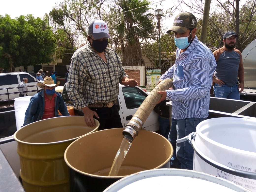 Hector_Alv_Con's tweet photo. FRUCTUOSA PARA NUESTROS APICULTORES.

El día de ayer nos solidarizamos y apoyamos a nuestros productores de miel del municipio. https://t.co/Pd2vOrVFcP