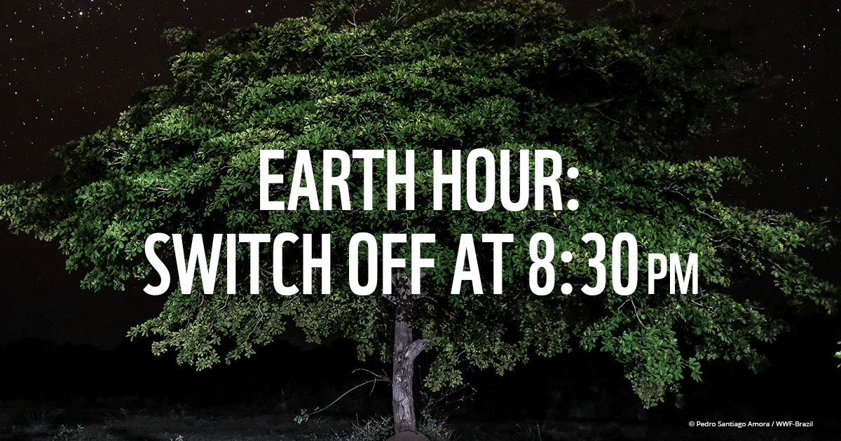 maryvaughan20's tweet photo. Tonight it’s Lights Out at 8:30 for #EarthHour2021. Join millions around the world as we turn off our lights and show our love for our planet. https://t.co/7e7DOQ2HUx