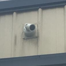 ggcoePAC's tweet image. McGlynn billed the Fred and Ethel Memorial Park as a place for students and faculty to gather and pay their respects.  So what's with all this surveillance?  What isn't the McGlynn campaign telling us?
#coeformayor