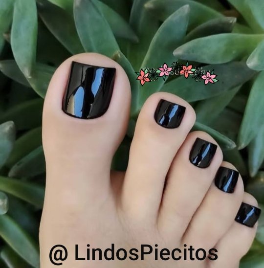 LindosPiecitos's tweet photo. https://t.co/HkoIAZbkjr
