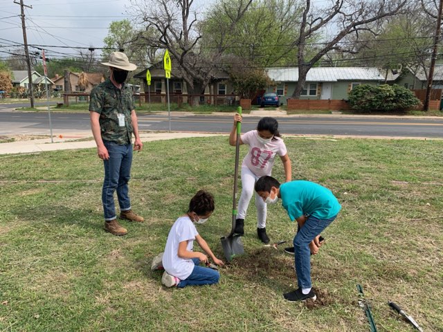 Govalle RoadRunners (@govalle_roadies) on Twitter photo More beautification work!Generations of Roadies past and present transplanting saplings grown from acorns of the oak tree from the old school thanks <a href="/AustinISD/">Austin ISD</a> arborist Matthew Mears for nursing these baby trees. We are so excited <a href="/AustinISDGreen/">Austin ISD Green</a> <a href="/EMVT_STEM/">Eastside STEM</a> More beautification work!Generations of Roadies past and present transplanting saplings grown from acorns of the oak tree from the old school thanks <a href="/AustinISD/">Austin ISD</a> arborist Matthew Mears for nursing these baby trees. We are so excited <a href="/AustinISDGreen/">Austin ISD Green</a> <a href="/EMVT_STEM/">Eastside STEM</a>