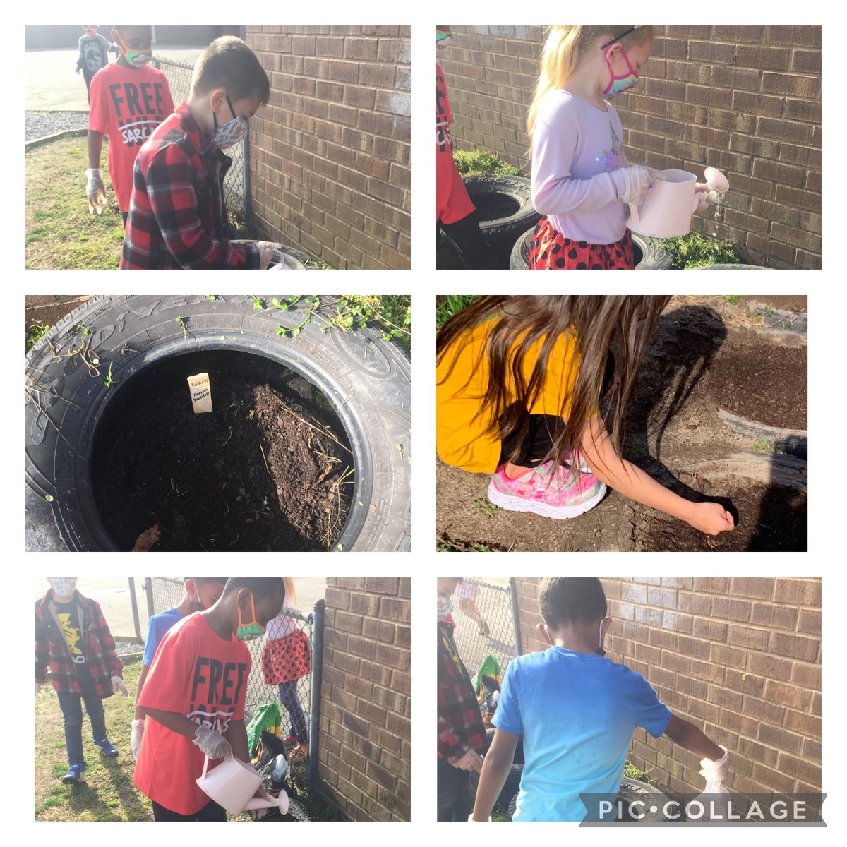 PaulaGee20's tweet photo. From seeds to plants...our radish seeds are planted in the school garden. Thank you to the amazing administrator, @davidbfrench, for this hands on experience. I have a classroom of gardeners!
#relentlessgators
@gesgatorspta @GlenwoodES
https://t.co/7pnp8vE3S0