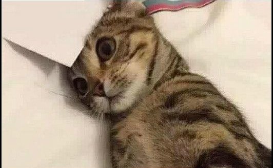 SelvinIvanPined's tweet photo. Es Muy Normal de Mi, Que me Duermo Para descansar y Sueño Que Ando Trabajando. https://t.co/IJxgR62GD1