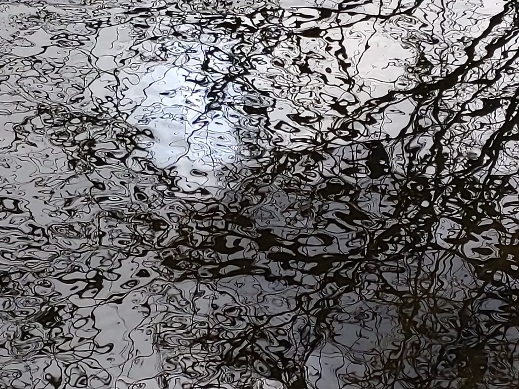 vjamoore's tweet photo. Today's fascination
#texturehunter https://t.co/L8ZSzXdkwK