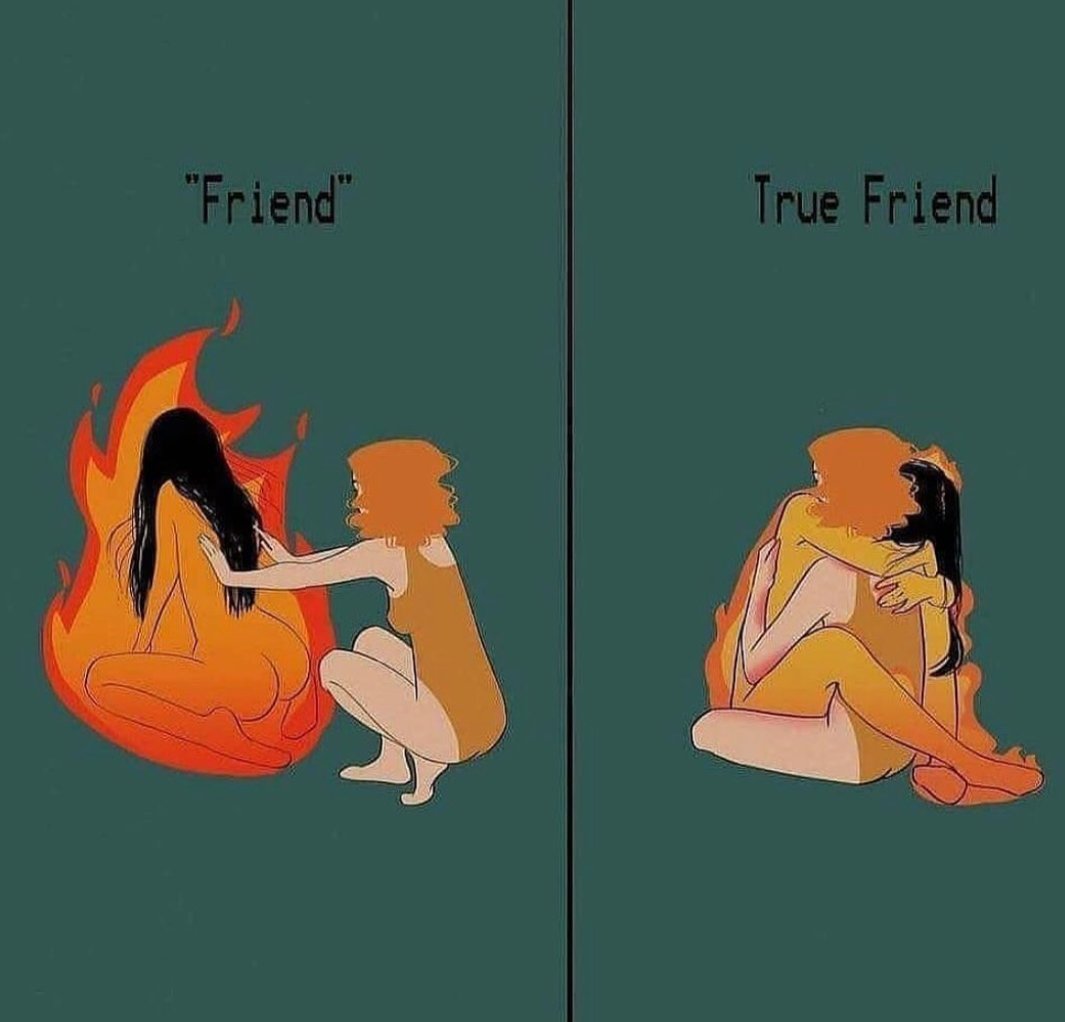 Melissa Iruegas tweet media