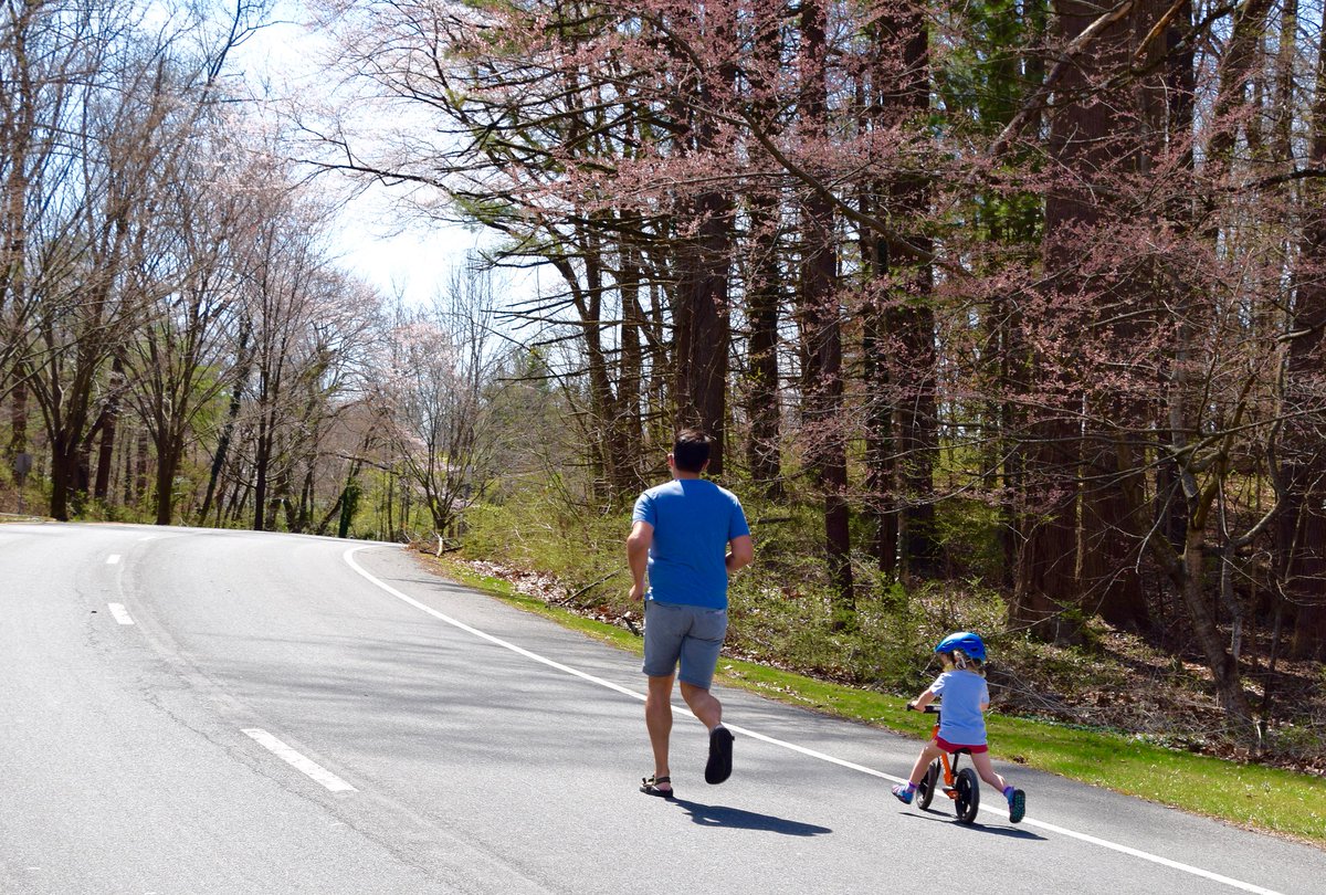 MontgomeryParks's tweet photo. Beautiful spring day to walk, bike, or run--and admire nature--on Little Falls Parkway! https://t.co/OJQsVHQ6NU