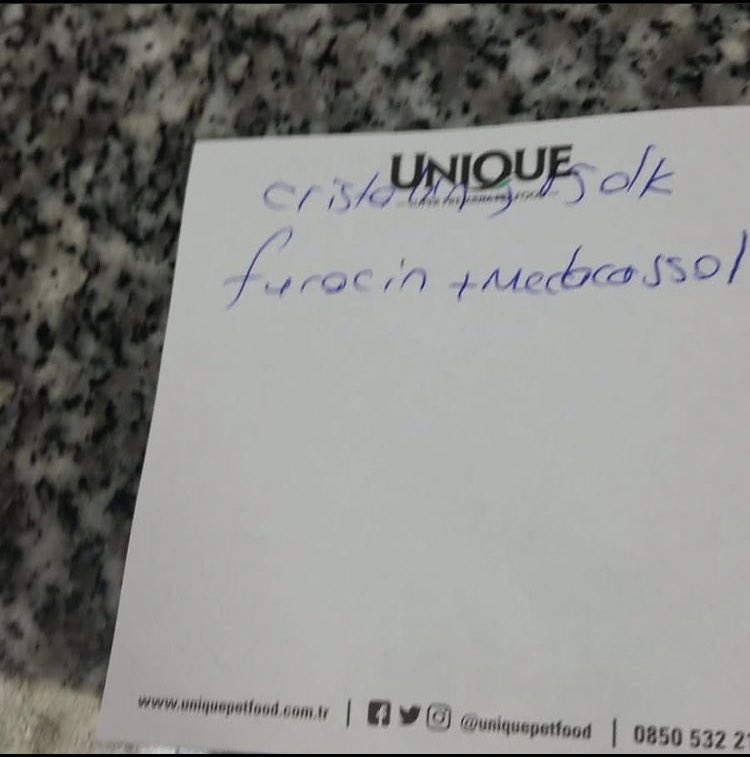patilerimdentut's tweet photo. Bu kediciği instagramdan takip edenler bilirler, iki haftadan fazla klinikte kaldı. Bugün taburcu oldu 🙏🏻Fotoğraftaki ilaçları kullanması gerekiyormuş destek olan olur mu? Ben klinik borcunu kapattım(750TL) Kediciği evlerinde iyileşene kadar misafir edecekler ❤️ https://t.co/BYkvISxOwr