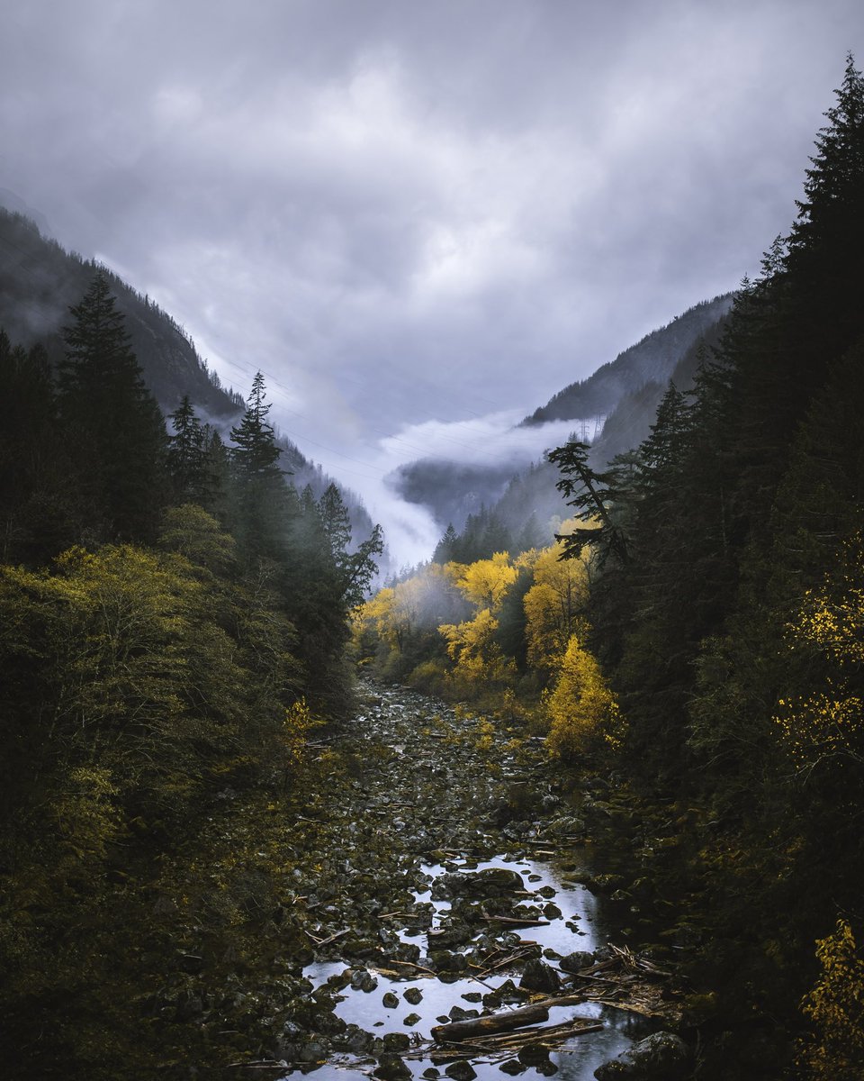 johncwingfield's tweet photo. fall in the cascades https://t.co/a9BfwwJiEA