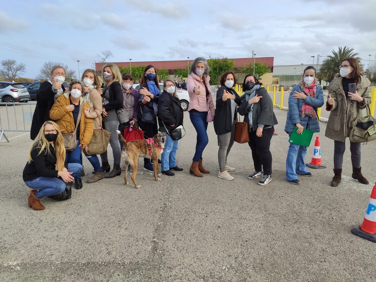 Edelweiss School tweet media