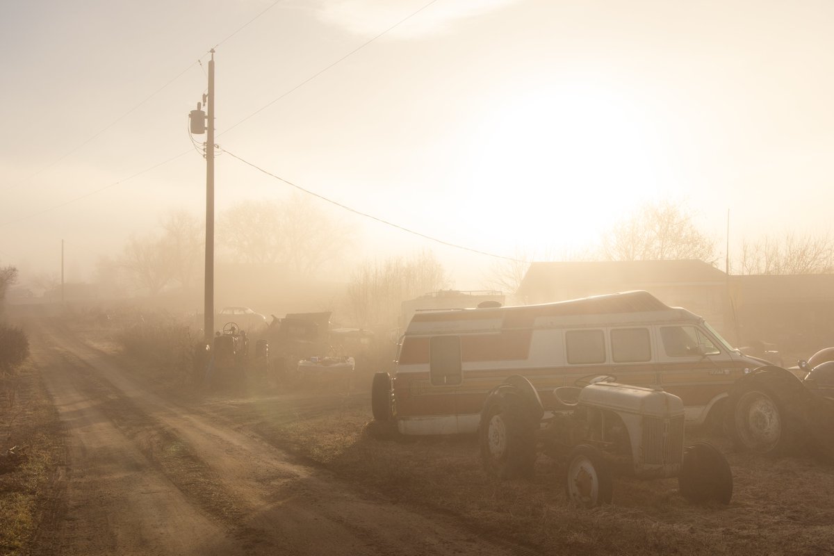 WallaBare's tweet photo. photos from a foggy morning https://t.co/Dm2G5vrjsH