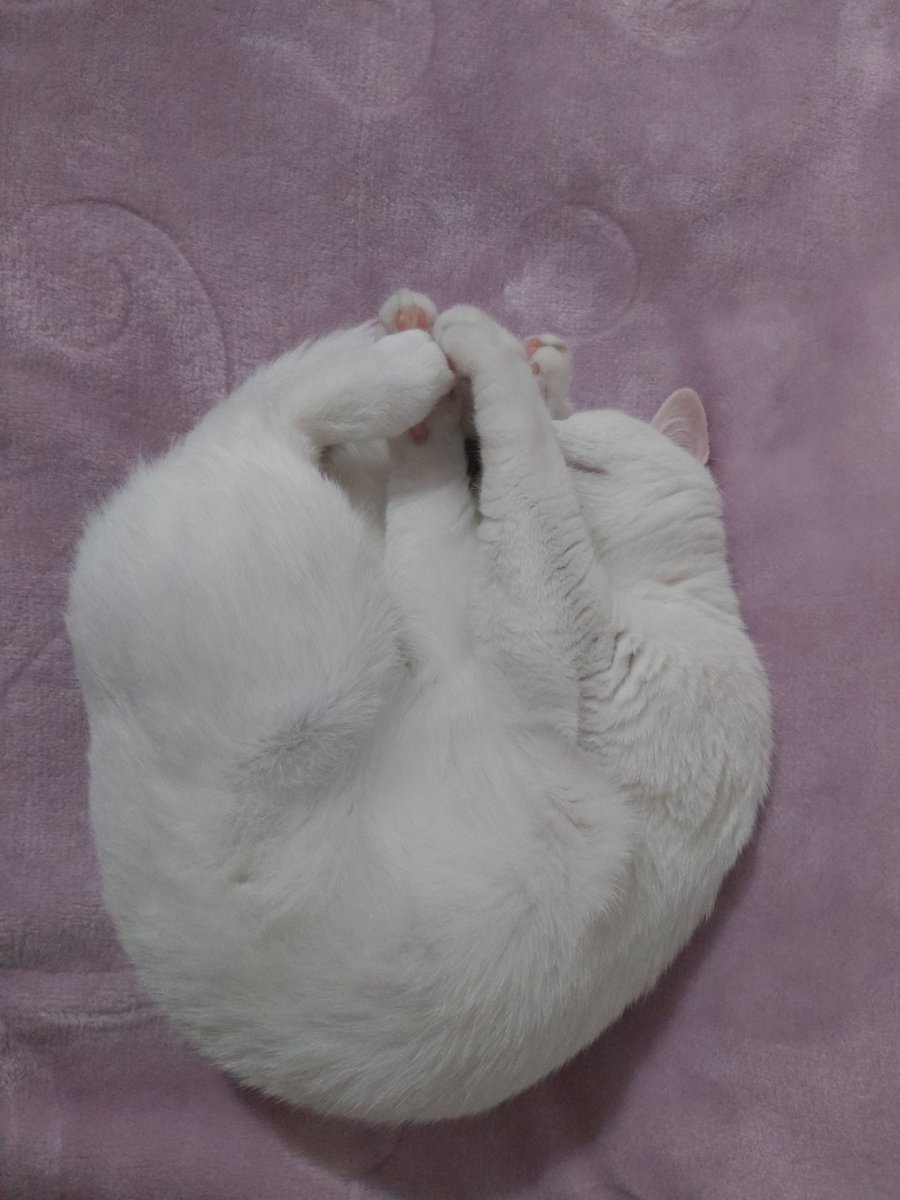 Ne bişm uyumuşm hehe