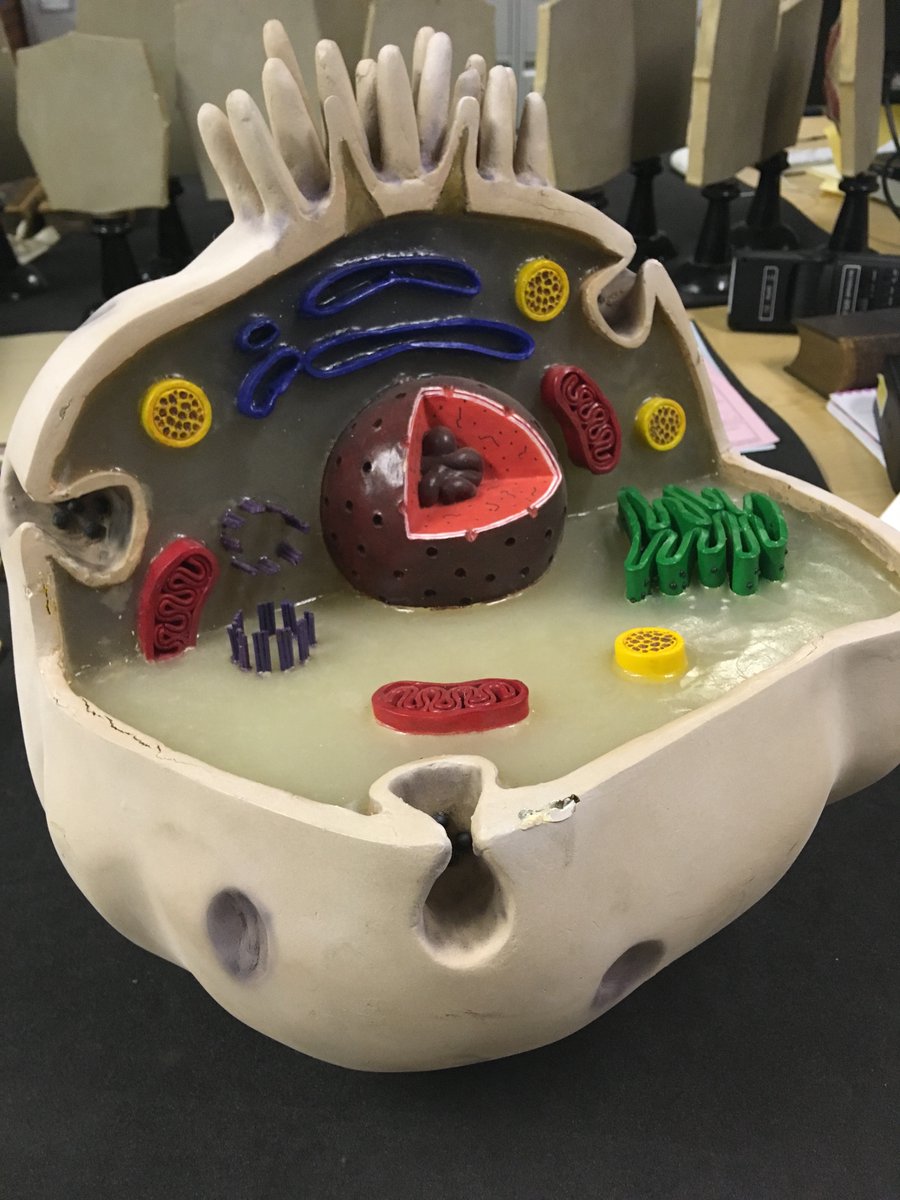 WhippleMuseum's tweet photo. We're running some #free family activities over Easter for @camcitco #ChYpPs!
Join us on 1st April to make your own cell model, 7th April to learn about scientific women, or 9th April to explore our astronomy collections!
https://t.co/6gvQzIJqcT https://t.co/JZZ1E4WnHx