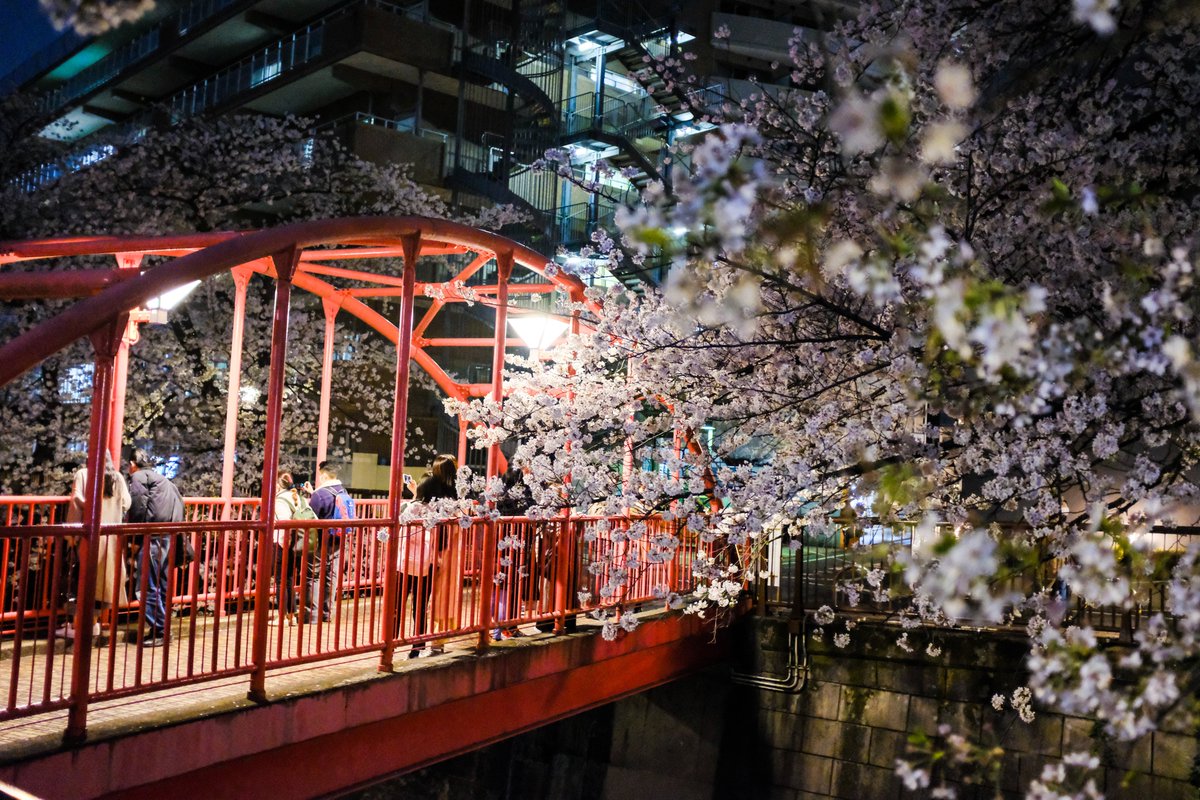tks_foto's tweet photo. Nakameguro https://t.co/ZEJL46WpMI
