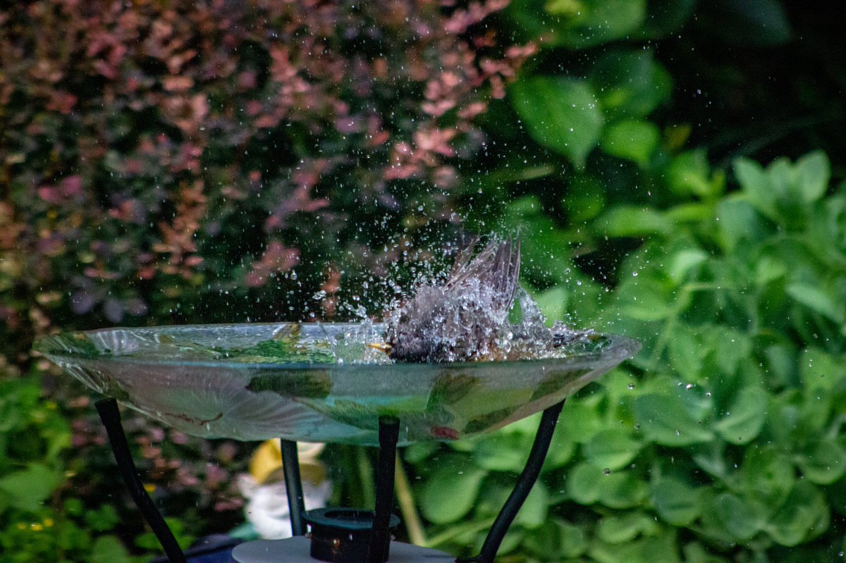 mikefriend. tweet media