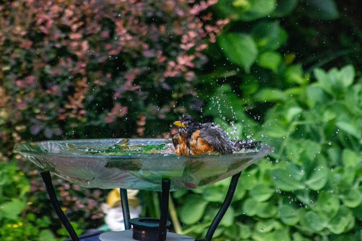 mikefriend. tweet media