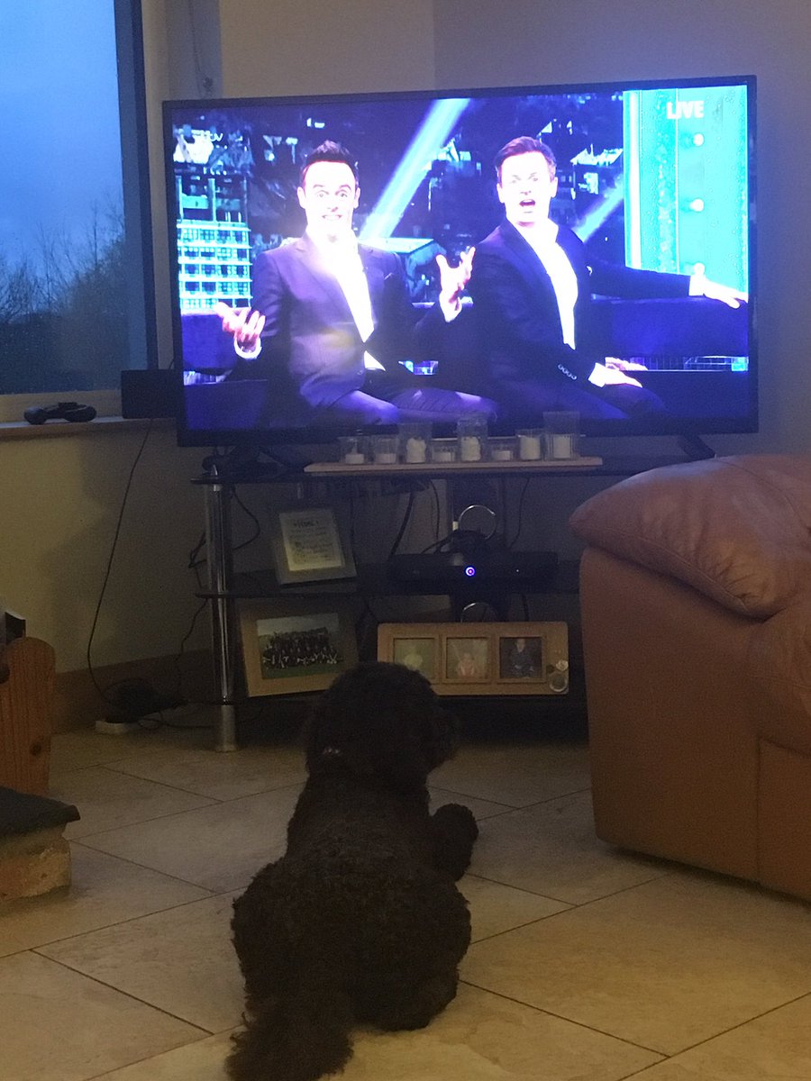 butcherjb's tweet photo. The whole house enjoying the show tonight! 🐕 #SaturdayNightTakeaway #antanddec https://t.co/GWtm0eg92v