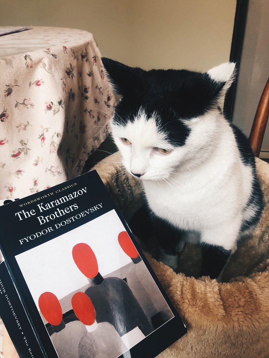 felix_reads's tweet photo. Would love to be a part of #catsofpublishing someday. https://t.co/e8Yx9g20Pb