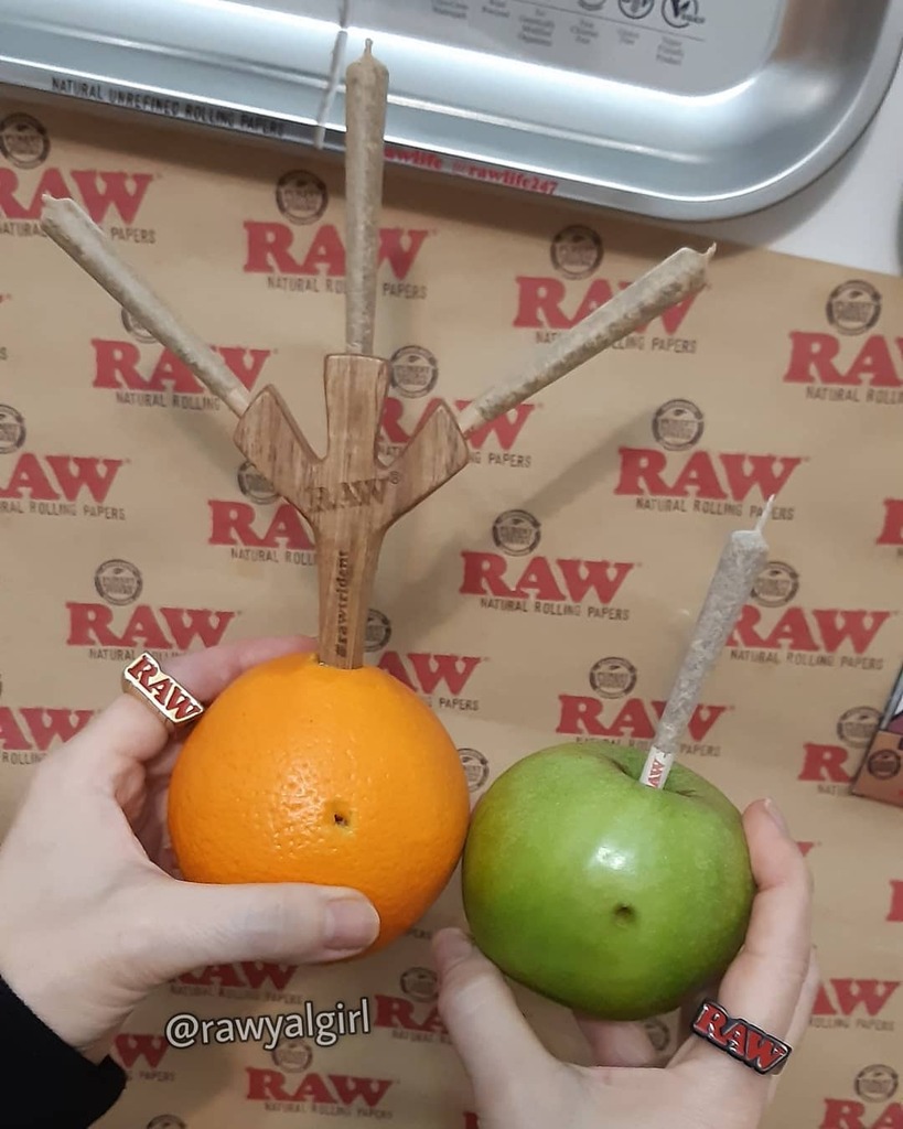 RAWyalgirl's tweet photo. Pick one! 🍁 Do you prefer 🍊or 🍏? 💨 @RAWkandroll @RAWlife247 @RAWlifegirls @RAWlifeportugal @theRAWfoundation @winetowater

📸: @RAWyalgirl

#RAWlifelivin #RAWlife420 #RAWlifeportugal #RAWtrident #RAWjoints #RAWsmokering #RAWlifegirls #RAWyalgirl #… https://t.co/yoCef9AxMO https://t.co/Avcjgck4Id