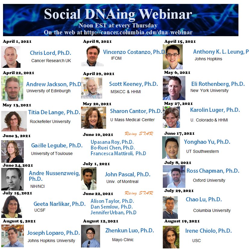 Zha Lab (@zha_lab) on Twitter photo Welcome our 2021 Spring & Summer speakers to Social DNAing. Signup at cancer.columbia.edu/dna-webinar <a href="/LeungLab/">Anthony Leung</a> <a href="/Vincenzo_IFOM/">TFPX NFT || Mint is Live⭕</a> <a href="/JacksonMedapj/">andrew jackson</a> @Spo11Rulz <a href="/CantorLab/">Sharon B. Cantor</a> @LugerLab <a href="/yu_yonghao/">Yonghao Yu Lab - Hiring now!</a> <a href="/nussenza/">andre nussenzweig lab</a> <a href="/Chapman_lab_UK/">Ross Chapman</a> <a href="/LuLaboratory/">Lu Lab_Columbia</a> <a href="/chiolo_lab/">Irene Chiolo</a> and more Welcome our 2021 Spring & Summer speakers to Social DNAing. Signup at cancer.columbia.edu/dna-webinar <a href="/LeungLab/">Anthony Leung</a> <a href="/Vincenzo_IFOM/">TFPX NFT || Mint is Live⭕</a> <a href="/JacksonMedapj/">andrew jackson</a> @Spo11Rulz <a href="/CantorLab/">Sharon B. Cantor</a> @LugerLab <a href="/yu_yonghao/">Yonghao Yu Lab - Hiring now!</a> <a href="/nussenza/">andre nussenzweig lab</a> <a href="/Chapman_lab_UK/">Ross Chapman</a> <a href="/LuLaboratory/">Lu Lab_Columbia</a> <a href="/chiolo_lab/">Irene Chiolo</a> and more