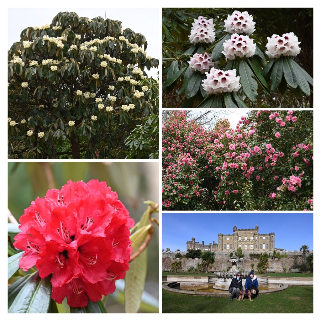 Alister McIntosh tweet media