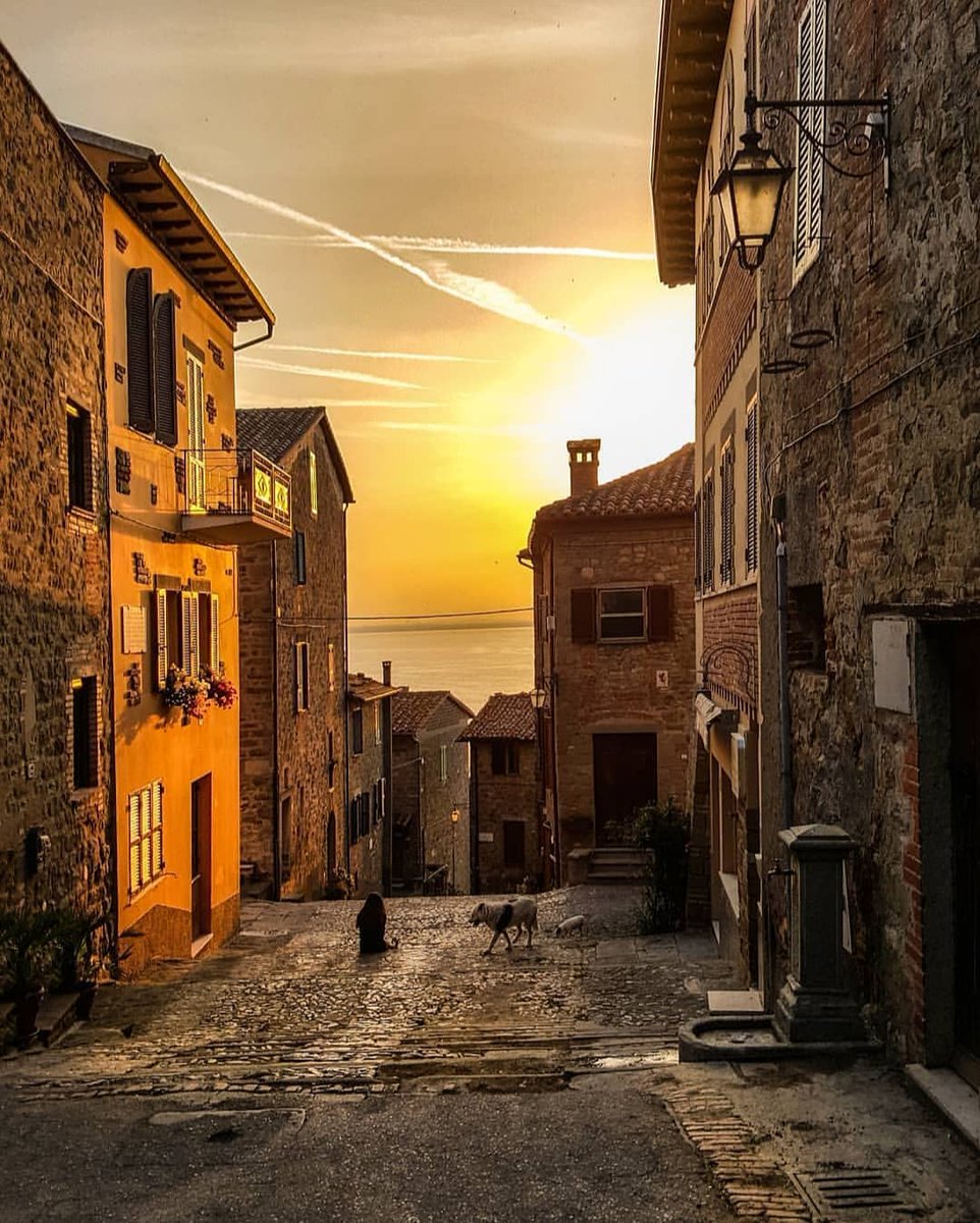 UmbriaTourism's tweet photo. Passeggiare tra i vicoli di #MontedelLago, piccola frazione di #Magione, vuol dire lasciarsi sorprendere dallo spettacolo offerto in lontananza dal #LagoTrasimeno 😍
https://t.co/n3SvqRpbru
📷 da Instagram di chrisma1105
#umbriacuoreverde #umbriaculture https://t.co/xp5kTezvNH