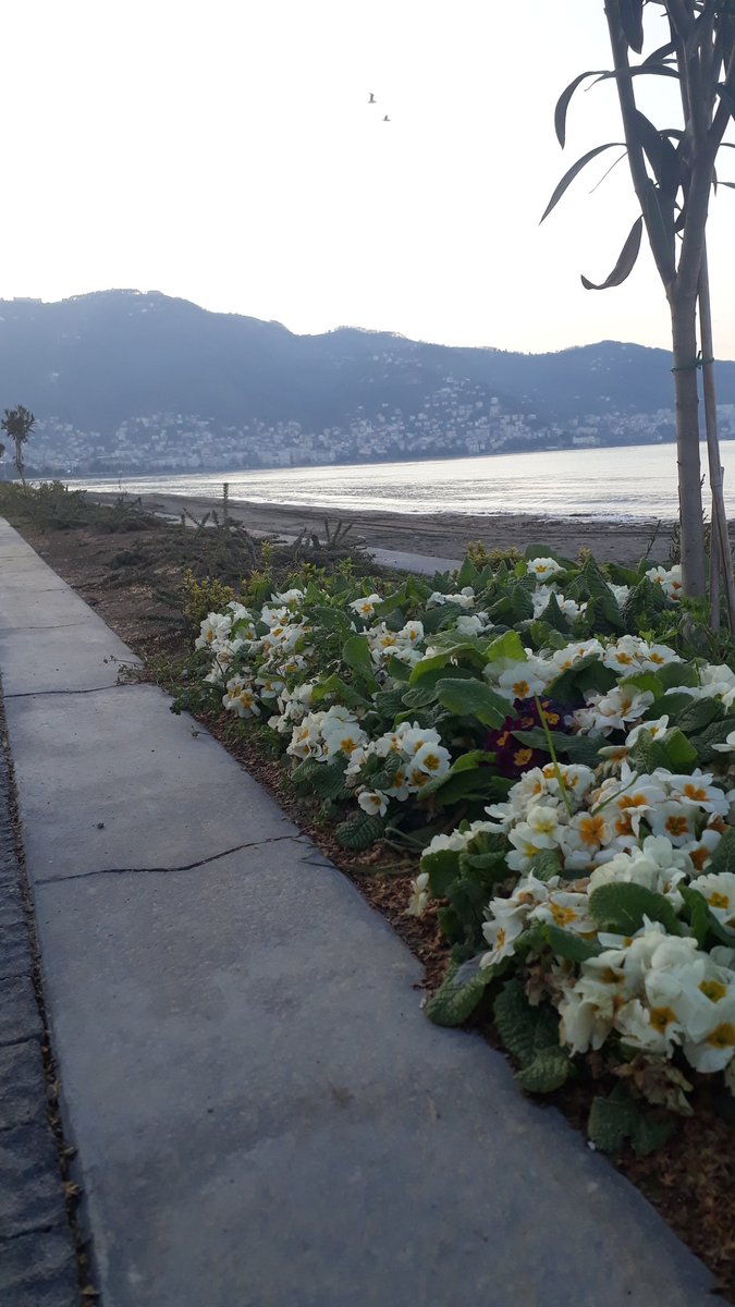 Koksal5233's tweet photo. #Ordusahil https://t.co/j3J4MPIiZZ