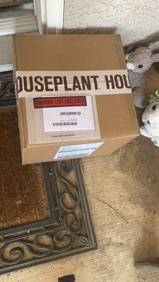 ncsweeney2's tweet photo. Had my grandmas funeral today but I came home to change to find this 😊 thank you @Sethrogen https://t.co/GeOxuQgF7E