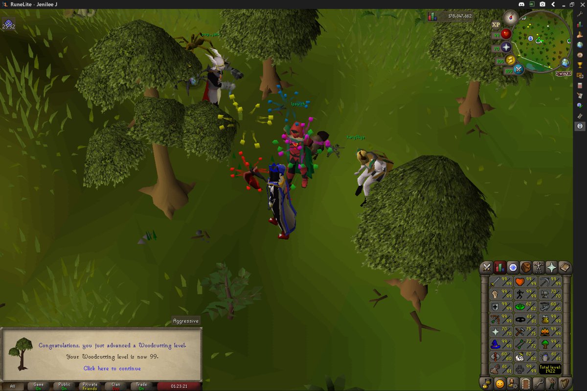 Finally finished 99 woodcutting on old school runescape! Thank you to <a href="/katyskye/">Katy Corbin</a> and a few other friends that came with me to get the cape.