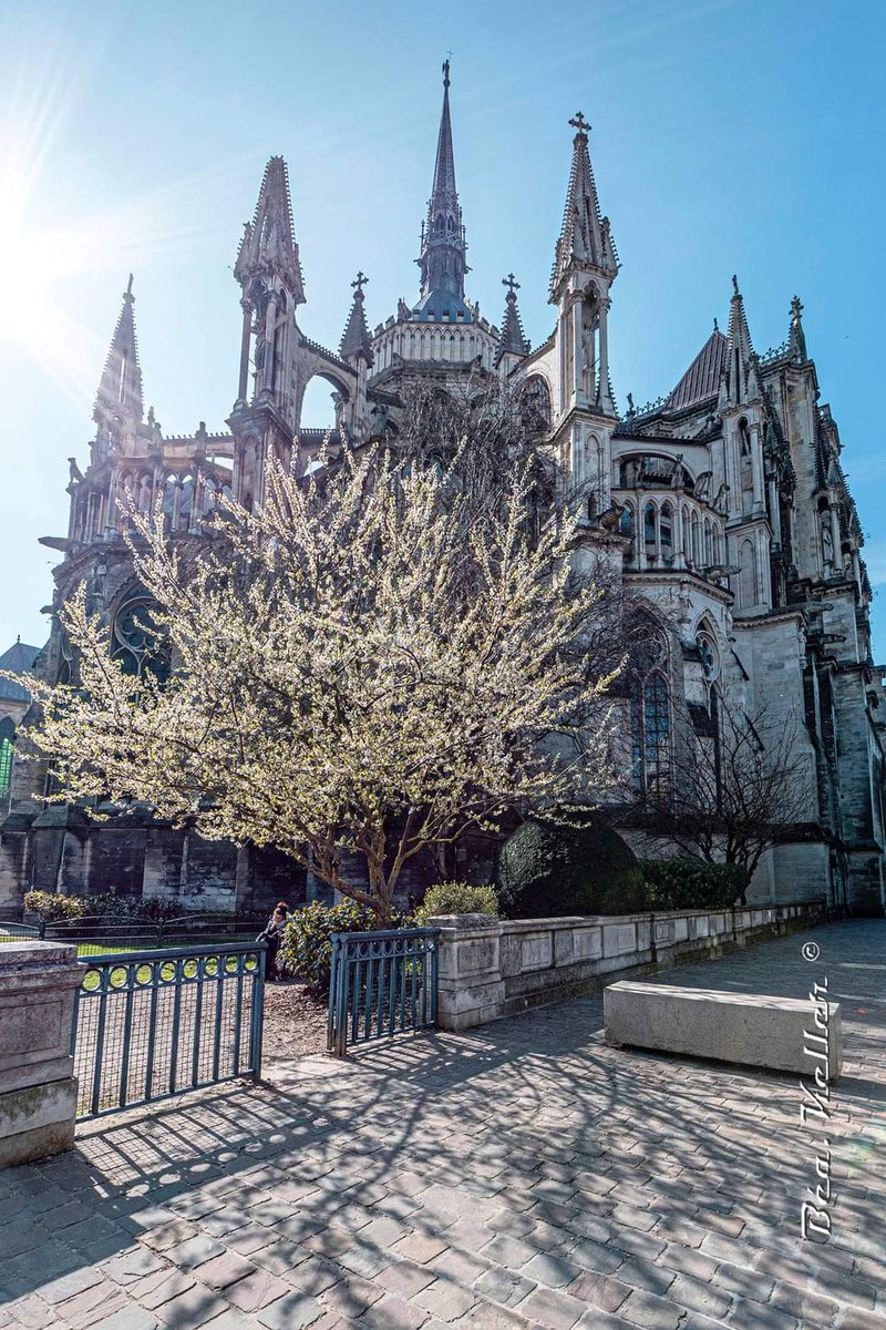 CricriBch_51's tweet photo. La belle Cathédrale de Reims au Printemps, j'adore ces photos !! 🥰😍🌼🌷⚘ #Reims #IloveReims #GrandReims #GrandEst #Marne #Champagne #Printemps https://t.co/5K9canPqnr