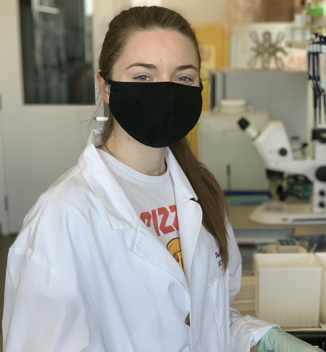 RogersLabUCD's tweet image. It’s official! We want to welcome Tess Gibson and Colton Baumler from the @BMCDB grad group to the lab! They will be the first PhD students in my lab @ucdavis. I’m so honored they chose me to accompany them on their journeys! Now to get them on Twitter... #RogersLab #DevBio