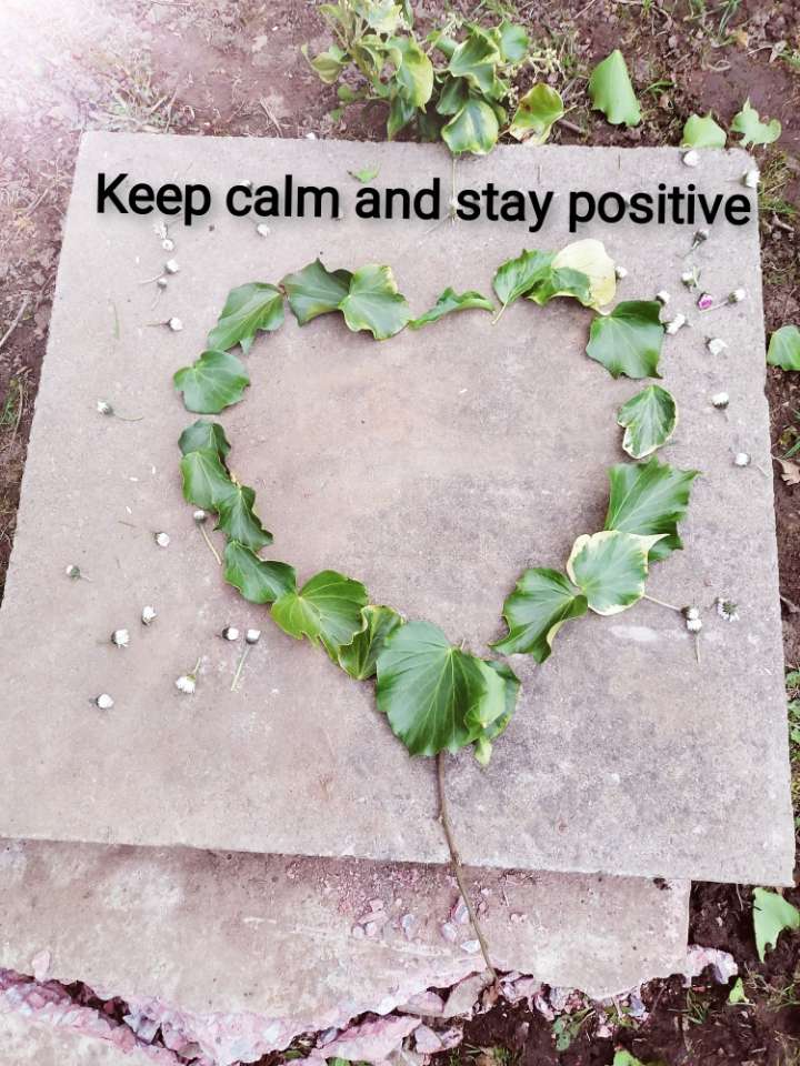 Holly2793's tweet photo. Daily calming images.
My friend group made some social distanced, calming pics for u all to enjoy. Part 1 https://t.co/vTt7cmufCv