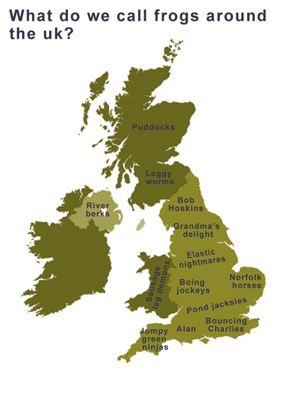 DoucheBagWorshipGuy tweet media