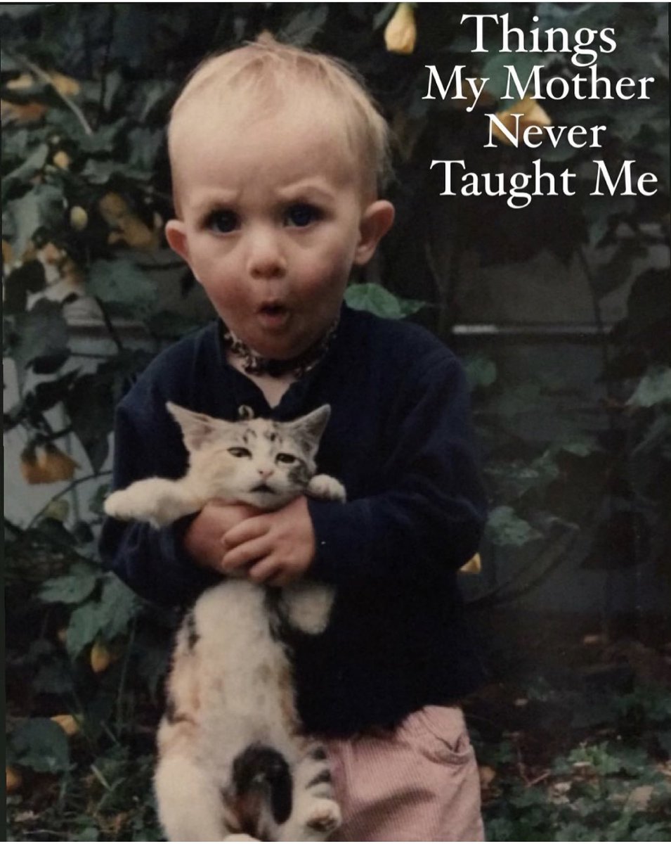 YHTisTheRegime's tweet photo. YHT Podcasts Presents:

Things My Mother Never Taught Me 

 Headed by YHT’s own @thegreatspinster ; tap in as Quincy chats with guests about things we all wish we had learned when we were young while unpacking childhood trauma and womahood.

Available for streaming 3/28.#YHT5EVR https://t.co/qeTYiJI4UA