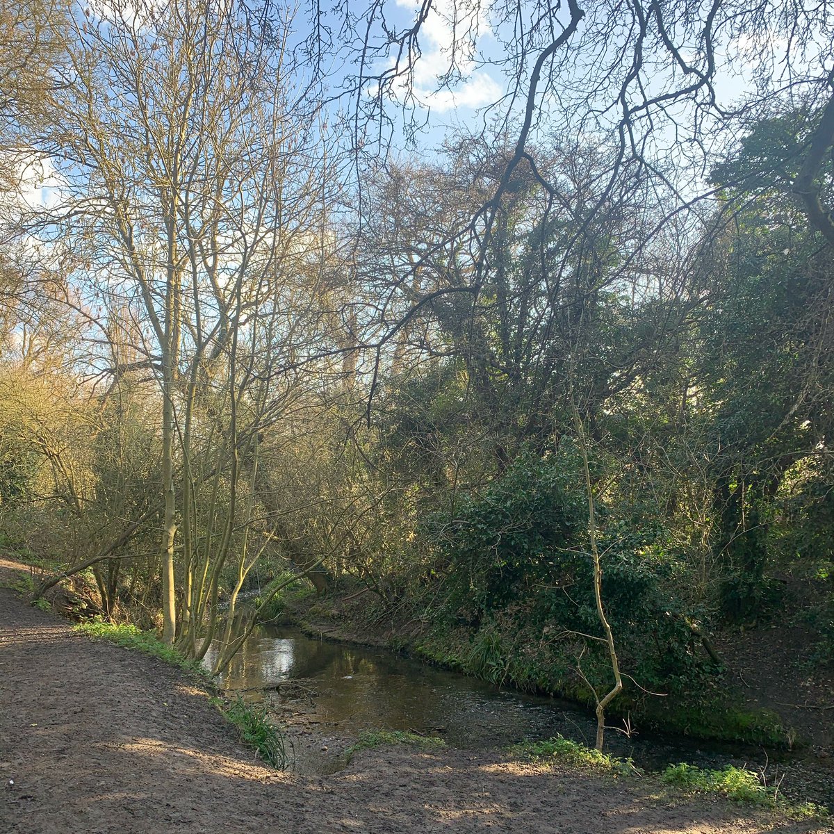 #WeeklyWalk The days are getting longer and the weather is getting nicer for our walks! 🌞