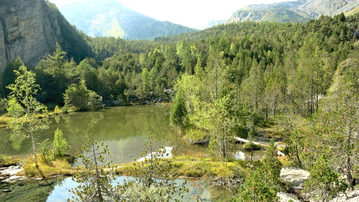 standseilbahnen's tweet photo. Derborence - a unique place in Switzerland - Valais Wallis - photos of Switzerland 🇨🇭😍 #derborence #wallis #valais #Schweiz #Suisse #Switzerland https://t.co/eA49MQWLEZ