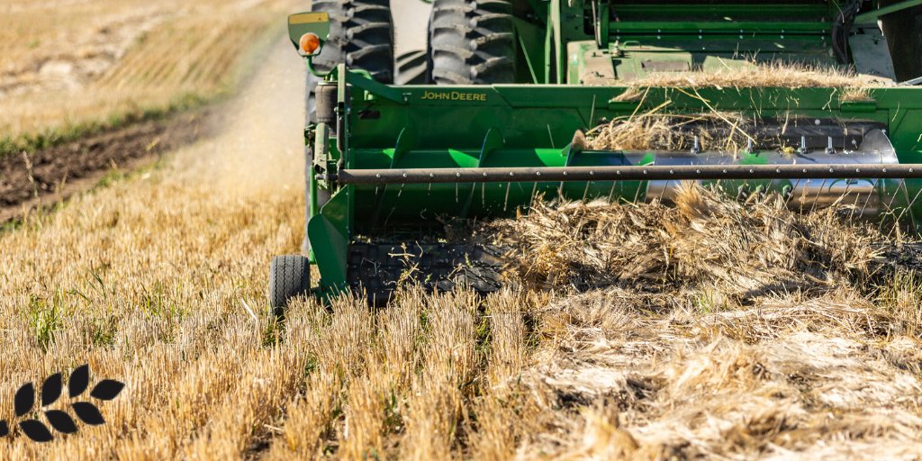 AdvancingAg's tweet image. Are you an accomplished, passionate role model or an aspiring agriculture professional? The #AdvancingAg program is looking for mentee and mentor applications before April 30. Apply today! advancingag.ca