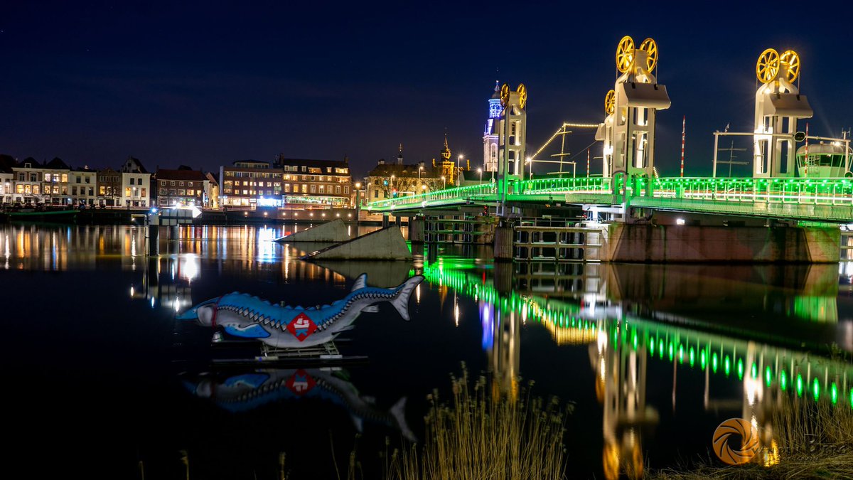 WBDU10's tweet photo. Onze muzikale 🥁 stad Kampen kleurt WBDU groen! 💚 #EarthHour #WNF https://t.co/ohqUFdYXHq