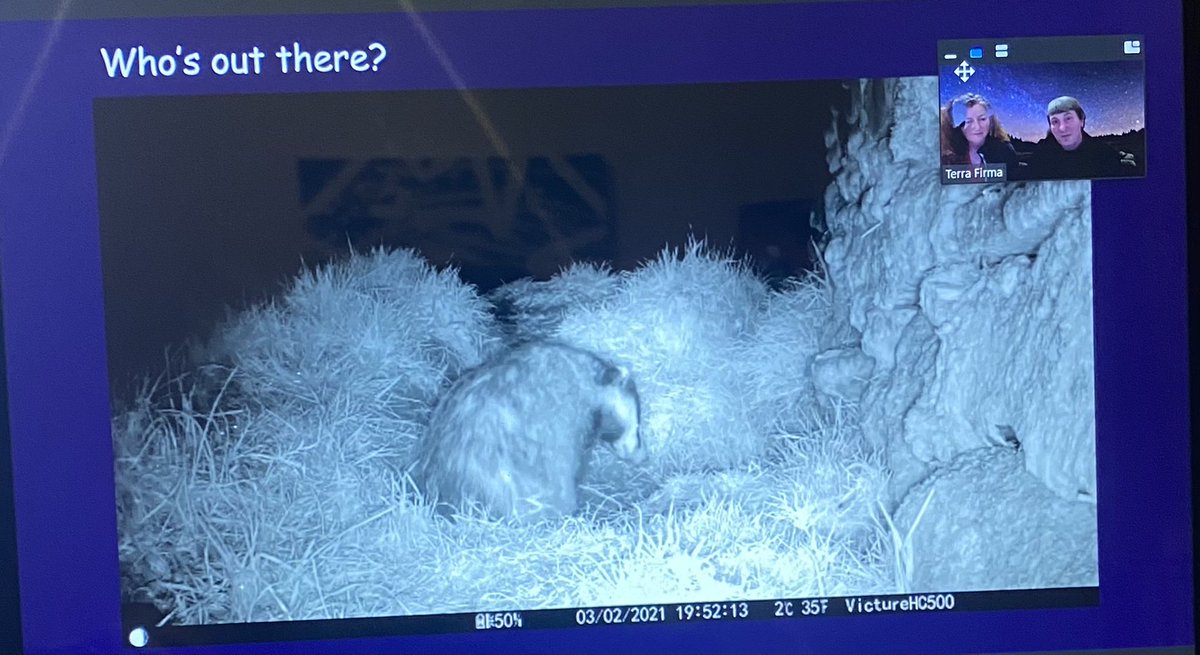 OutdoorPlayMayo's tweet photo. Our final event of the Conference with @terrafirmaclub Dark Sky Rangers with Georgia and Ged discuss setting up your back garden Safari for after dark. Turn your sun loungers into “Star Loungers” and see who’s out there #OutdoorPlayGMIT @GMITMayoCampus @GMITOfficial @CypscIrl https://t.co/AbEyDcZsQD